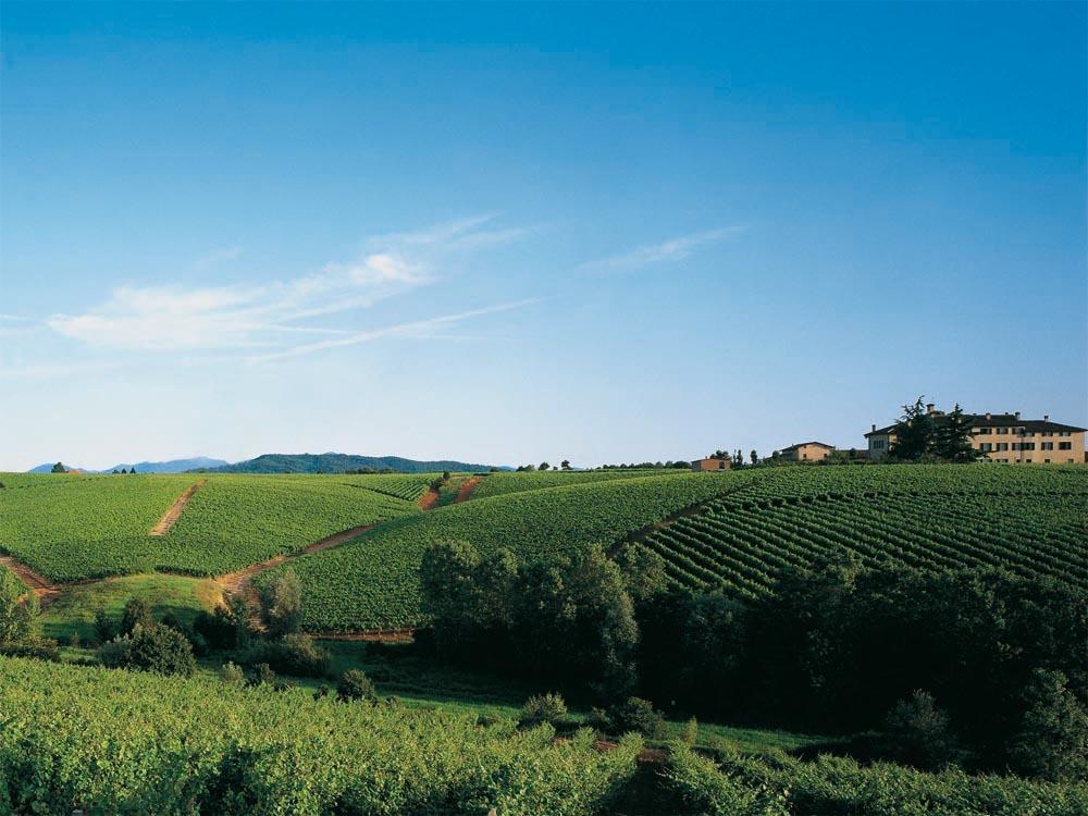 Agriturismo Tenuta La Marchesa Νόβι Λίγκουρε Εξωτερικό φωτογραφία